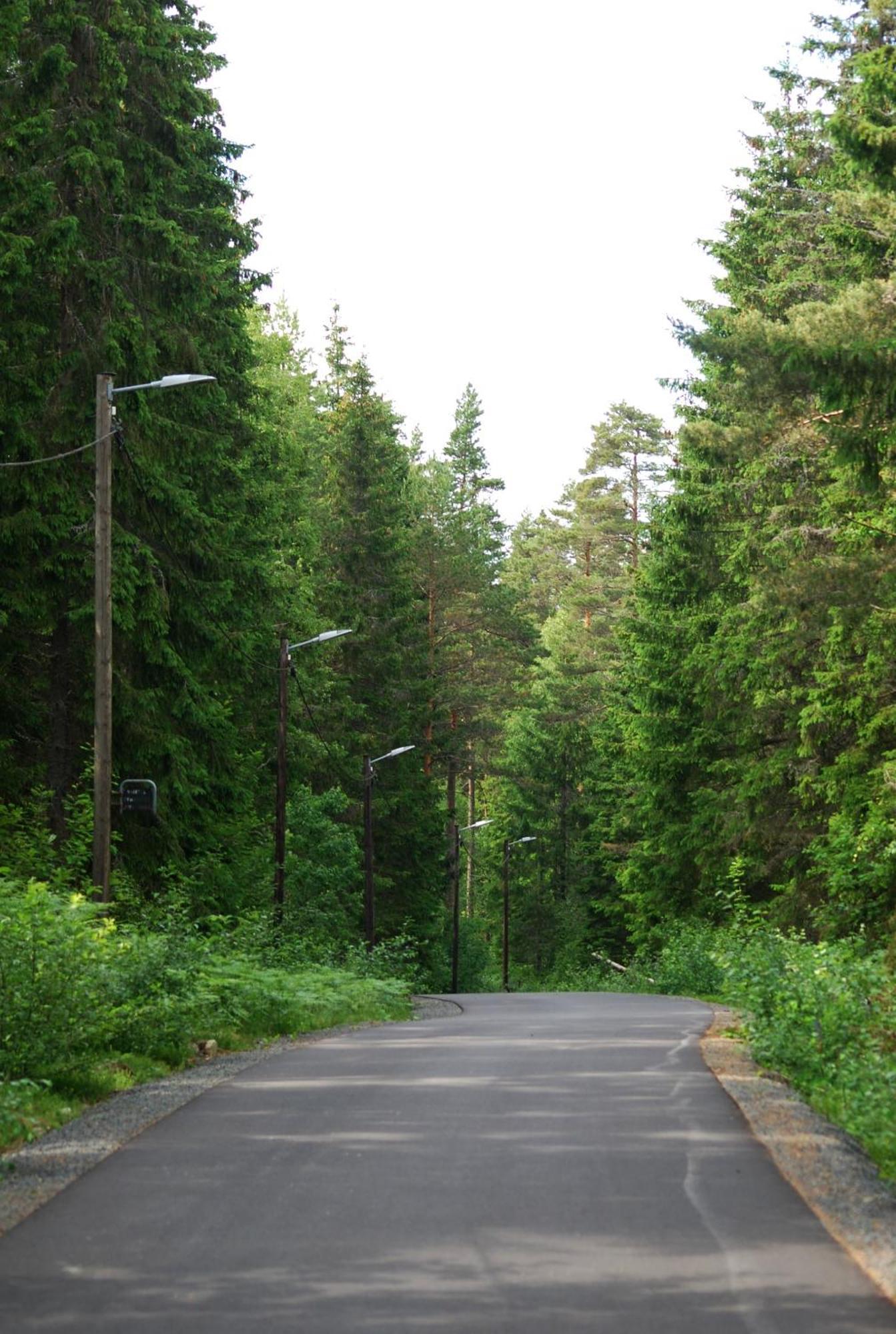 Loevhults Vandrarhem Nässjö Buitenkant foto